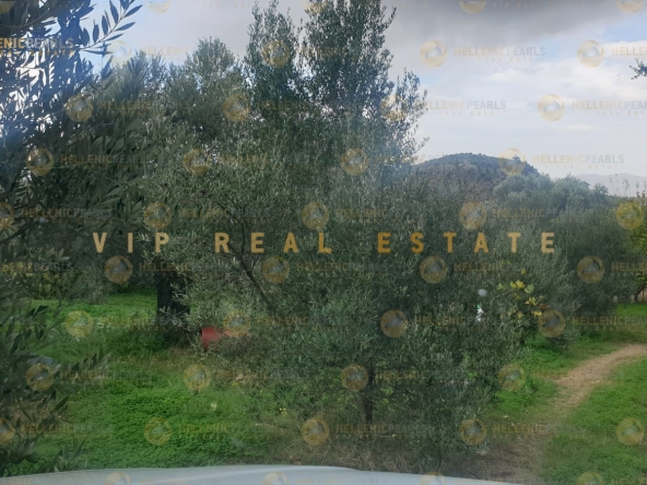 626505 - Land plot For sale, Tetrachori, 2.800 sq.m., €80.000