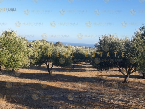 638978 - Parcel/Land Field For sale, Gazi, 4.515 sq.m., €130.000