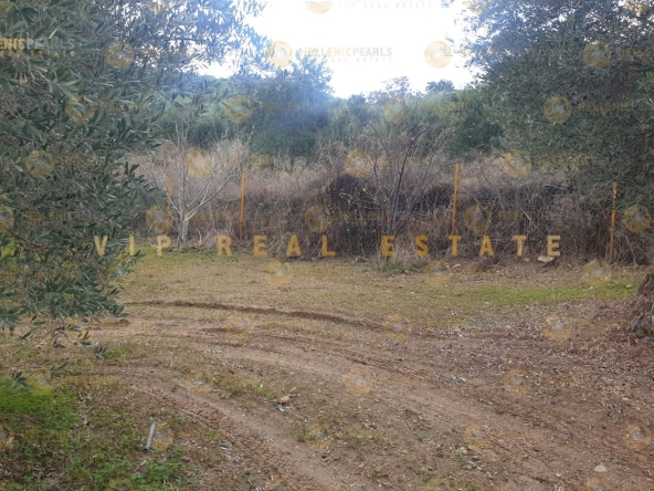 626505 - Land plot For sale, Tetrachori, 2.800 sq.m., €80.000