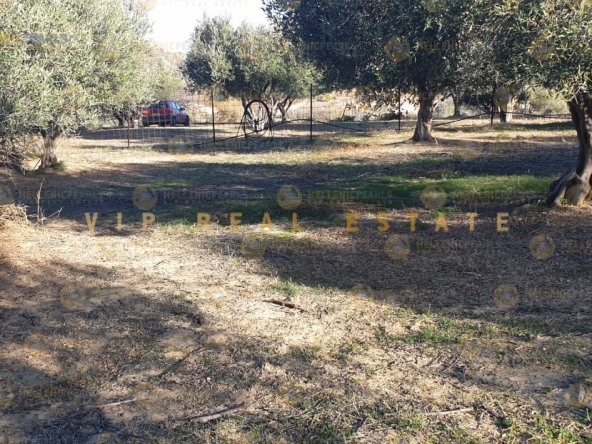 638976 - Parcel/Land Field For sale, Gazi, 9.134 sq.m., €250.000