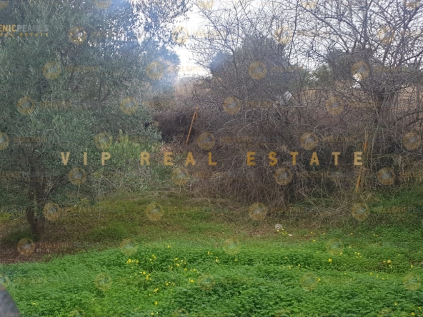 626505 - Land plot For sale, Tetrachori, 2.800 sq.m., €80.000