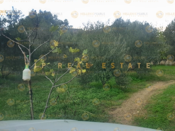 626505 - Land plot For sale, Tetrachori, 2.800 sq.m., €80.000