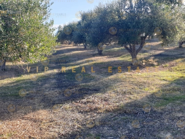 638976 - Parcel/Land Field For sale, Gazi, 9.134 sq.m., €250.000