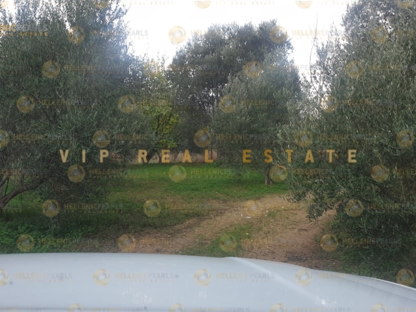 626505 - Land plot For sale, Tetrachori, 2.800 sq.m., €80.000