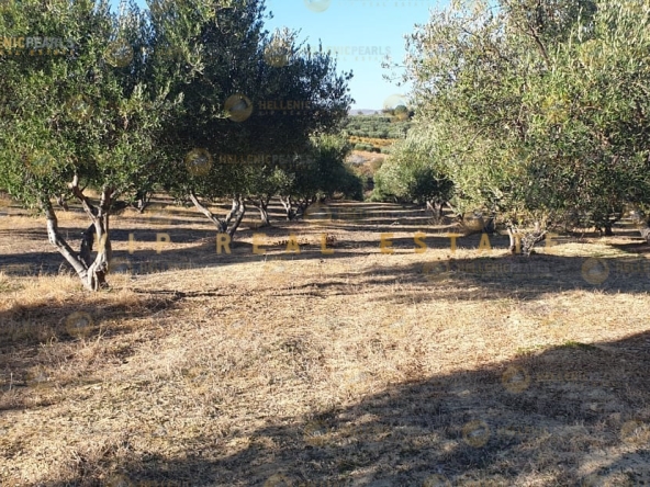 638978 - Parcel/Land Field For sale, Gazi, 4.515 sq.m., €130.000