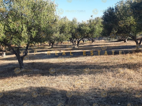 638977 - Parcel/Land Field For sale, Gazi, 4.337 sq.m., €130.000