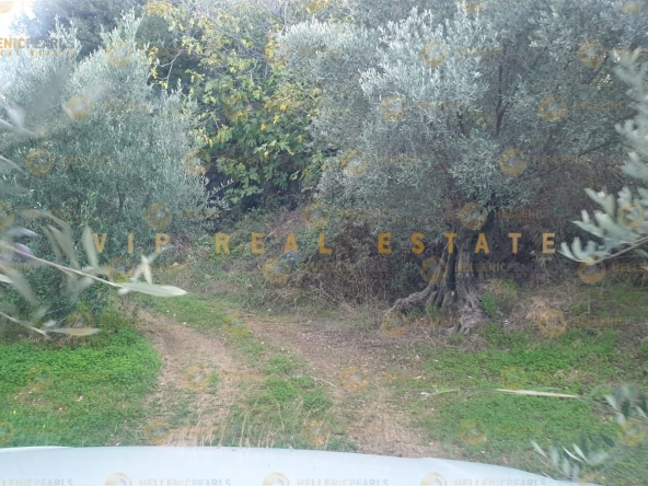 626505 - Land plot For sale, Tetrachori, 2.800 sq.m., €80.000