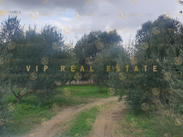 626505 - Land plot For sale, Tetrachori, 2.800 sq.m., €80.000